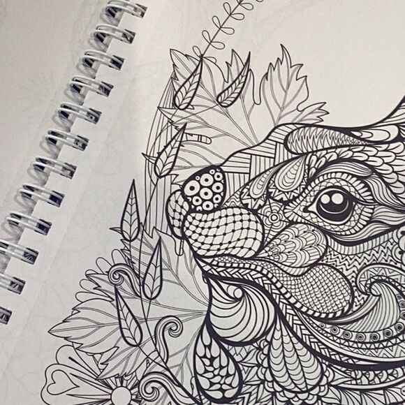 Love To Color Kaleidoscope Coloring Book 90 designs Bound Together - Picture 12 of 12